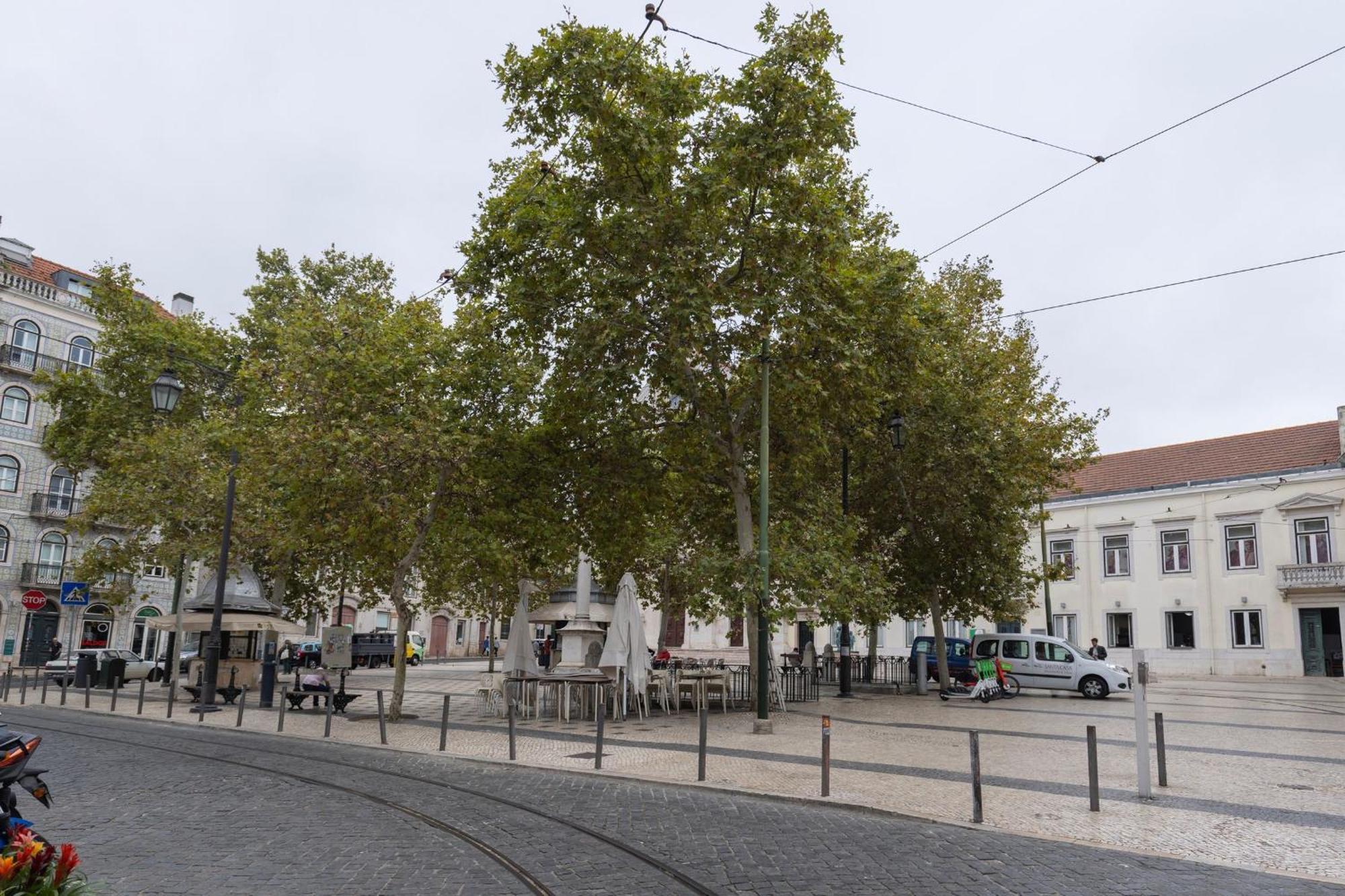 Chiado Center 1Bdr Flat By Lovelystay Lisboa Eksteriør billede